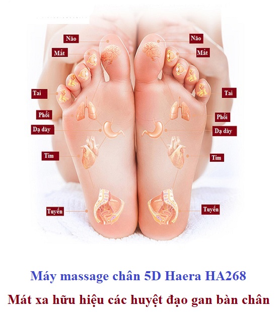 Máy massage chân sẽ giúp các bạn thoát khỏi những cơn đau nhức chân dẫn đến mất ngủ, hoa mắt, mệt mỏi, đi lại không thuận lợi …